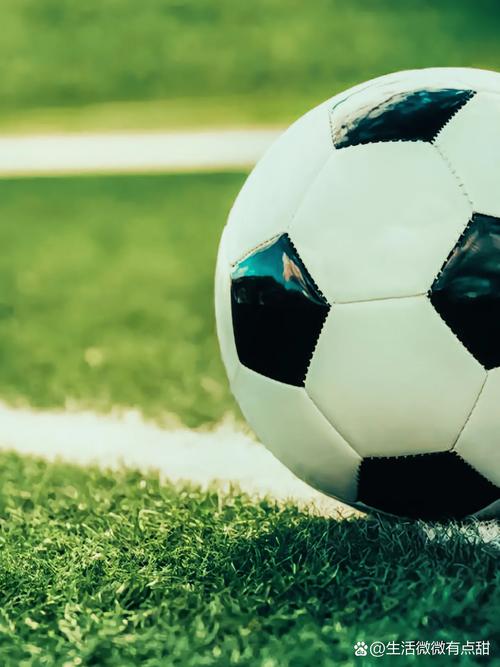 竞技研究机构学术应用场景